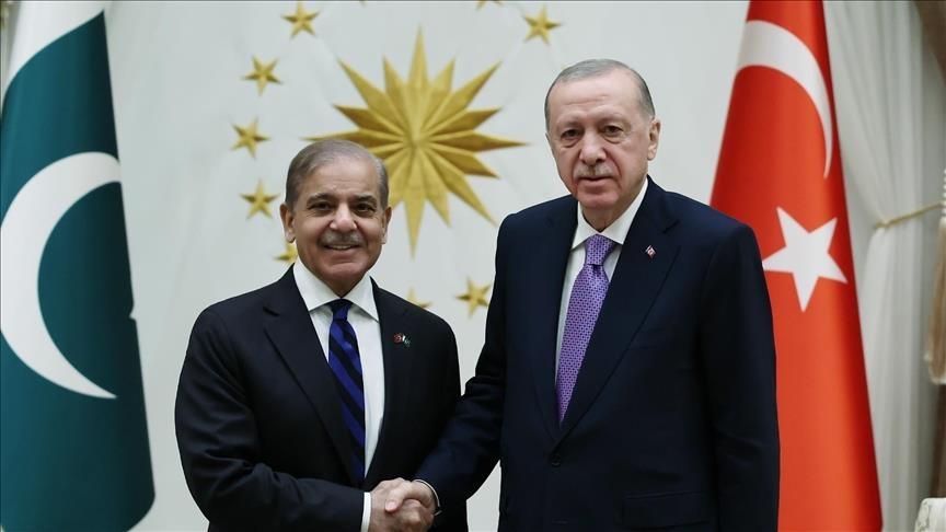 أردوغان وشريف يبحثان العلاقات وقضايا إقليمية ودولية مشتركة