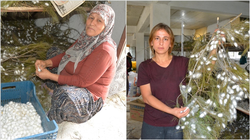 ѳğ'da anne ile kızı devlet desteğiyle ipek böceği yetiştiricisi oldu