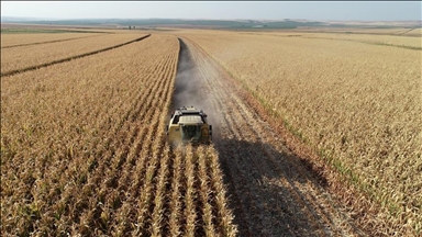 IPARD III Programı hibeleriyle 70,3 milyon avroluk yatırım yapıldı