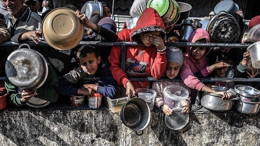 Irlande : "La mort de personnes de faim à Gaza est une honte pour le monde et la communauté internationale"