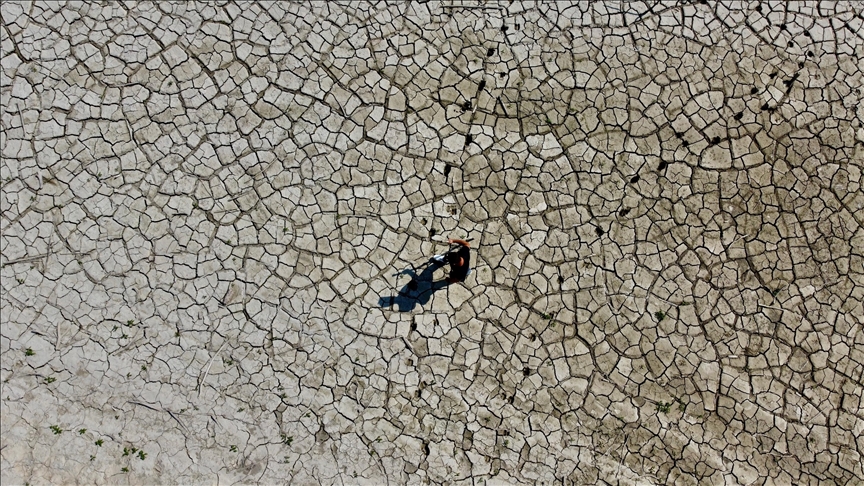New Zealand government sued for 'pouring oil on climate crisis fire'