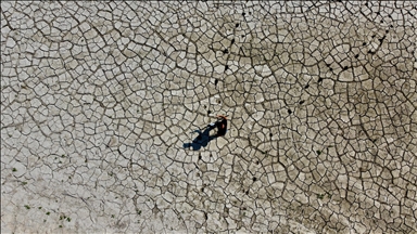 New Zealand government sued for 'pouring oil on climate crisis fire'