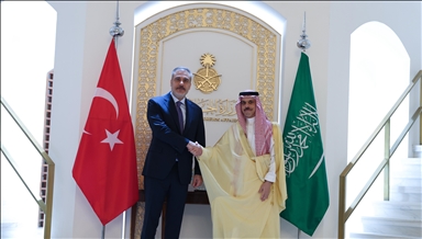 Turkish, Saudi foreign ministers discuss Gaza, upcoming OIC meeting