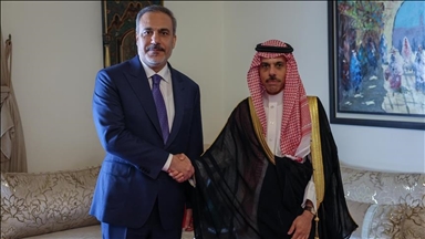 فيدان ونظيره السعودي يبحثان الوضع في غزة ومساعي وقف إطلاق النار