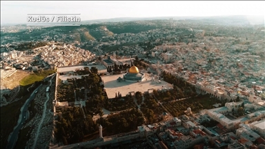 Turkish documentary highlights Palestinian women’s resistance through art under occupation