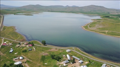 Bi barîna baranê û bi ava belekiyan va asta ava Bendava Patnosê zêde bû