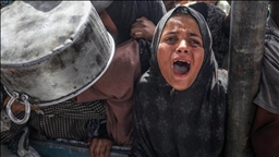 Over 2,700 Gaza children diagnosed with acute malnutrition amid Israeli siege: UN agency