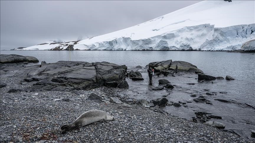 As Greenland’s ice breaks up, the future of local fishing drifts into further peril