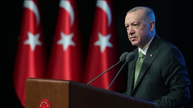 أردوغان يعزي بضحايا حادث تحطم طائرة في الهند