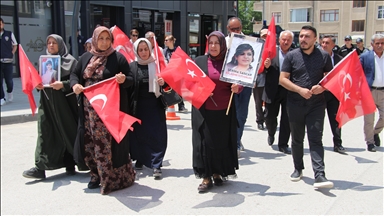 Malbatên Wanî çalakiya xwe ya li ber Serokatiya DEM Partiyê ya Parêzgehê domand
