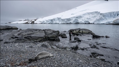 As Greenland’s ice breaks up, the future of local fishing drifts into further peril