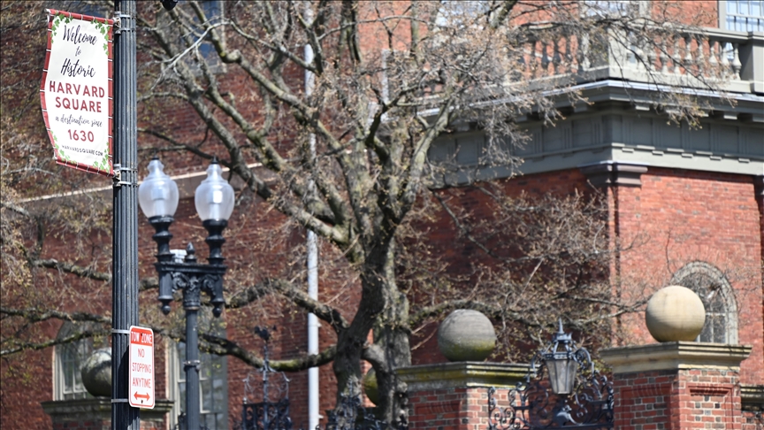 Russian Harvard scientist released after detention for smuggling frog embryos
