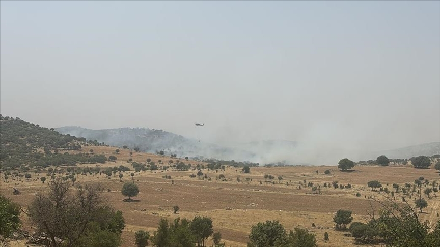 Mardin'de ormanlık alanda çıkan yangına müdahale ediliyor