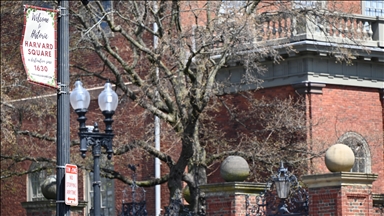 Russian Harvard scientist released after detention for smuggling frog embryos