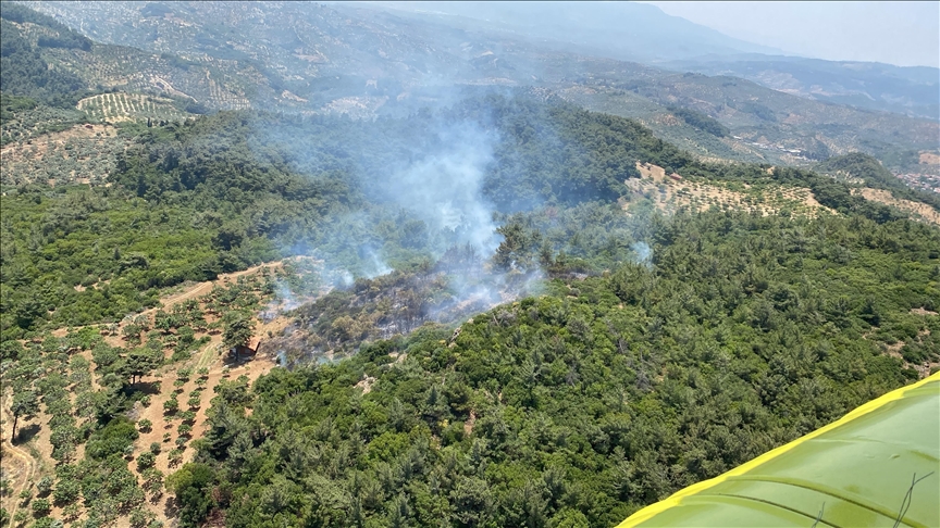 Aydın'ın Germencik ilçesinde ormanlık alanda çıkan yangın kontrol altında