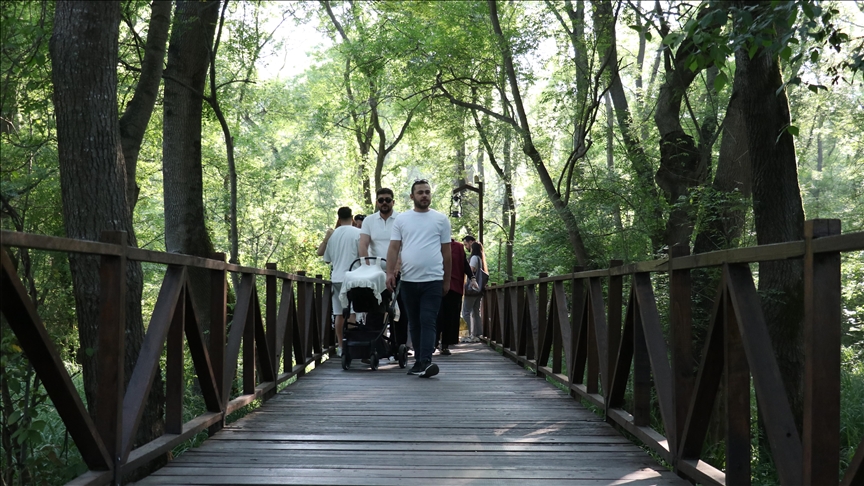 Samsun'da Çakırlar Korusu ziyaretçilerin ilgisini çekiyor