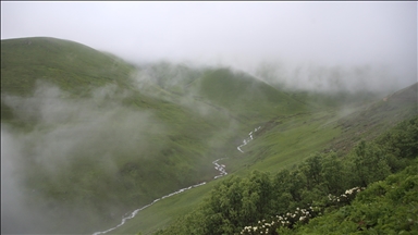 Rize'de "20. Dağ Horozu Şenliği" düzenlendi
