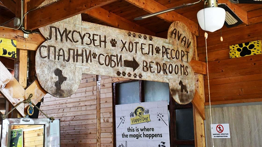 Прв и единствен рекреативен парк за кучиња со хотелско сместување во Скопје