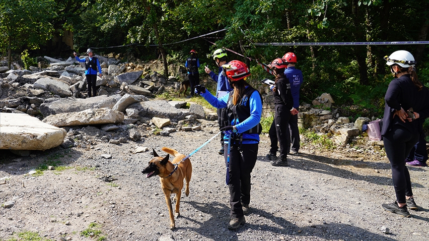 Dünya arama kurtarma köpekleri şampiyonası İstanbul'da yapıldı