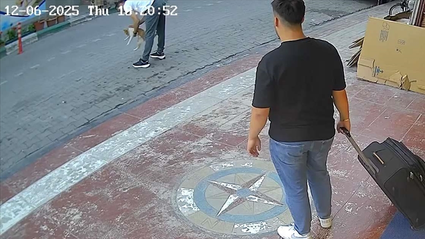 Со Хајмлихов зафат спасена мачка која имала заглавено храна во трахеата