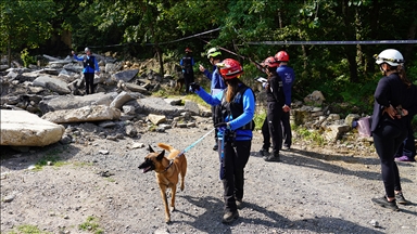Dünya arama kurtarma köpekleri şampiyonası İstanbul'da yapıldı