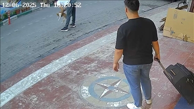 Со Хајмлихов зафат спасена мачка која имала заглавено храна во трахеата