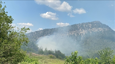 Bilecik'te çıkan orman yangını söndürüldü