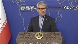 Iran says authorities to decide whether to withdraw from nuclear non-proliferation treaty