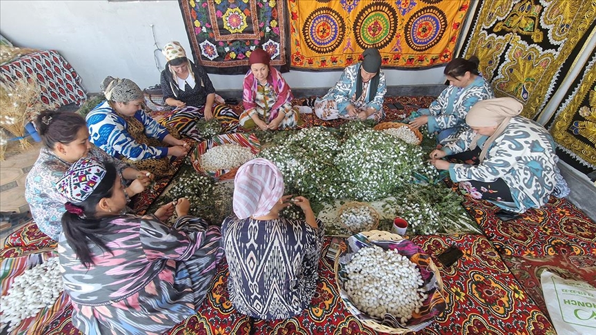 Özbekistan'da ev kadınlarına ipek böceği yetiştiriciliği ile istihdam sağlanıyor