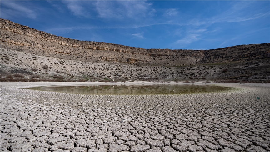 Nearly 40% of Earth’s land surface classified as degraded