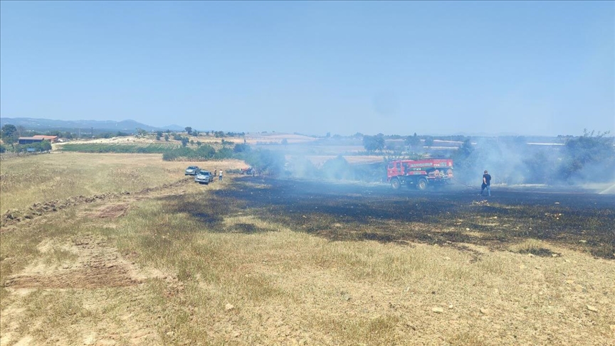 Çanakkale'de tarım arazisinde çıkan ⲹԲıa müdahale ediliyor