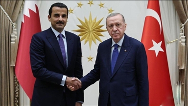Erdogan et Tamim ben Hamad Al Thani discutent du conflit entre Israël et l'Iran