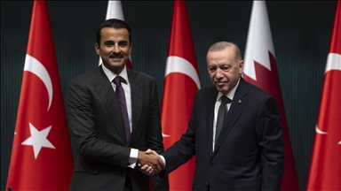 Turkish president, Qatari emir discuss Israel-Iran conflict