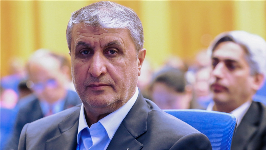 İ Atom Enerjisi Kurumu Başkanı: Nükleer tesislerin durumu iyi