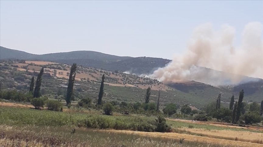 ı'in Kepsut ilçesinde çıkan orman yangınına müdahale ediliyor