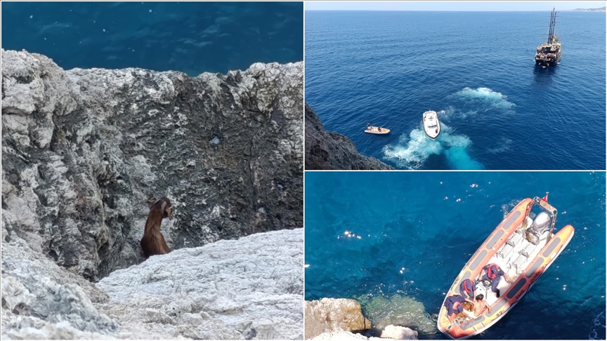 Alanya'da kayalıklarda mahsur kalan keçi sahil güvenlik ekiplerince kurtarıldı