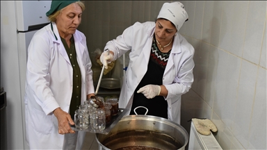 Ordu'da kooperatif çatısı altında üretim yapan kadınların hikayesi kayıt altına alındı