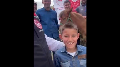 Bakan Yumaklı, yaralı tay "Nazlı" için yapılan yardım çağrısını karşılıksız bırakmadı