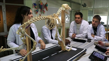 Hayvan kemiklerinden yapılan iskeletler yapay zekayla dijitale aktarılıyor