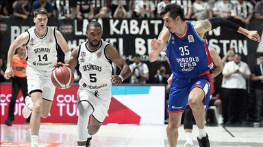 TBF Disiplin Kurulu, Beşiktaş'a 630 bin lira para cezası verdi