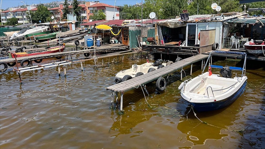 İzmit Körfezi'nde denizin kıyısı kahverengiye döndü