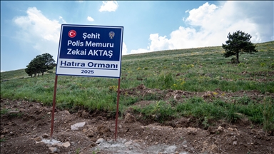 Şehit annesinin "oğlunun adına hatıra ormanı oluşturulması" vasiyetini polisler yerine getirdi