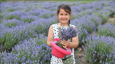 Edirne'de "8. Lavanta Tarla Günleri" başladı