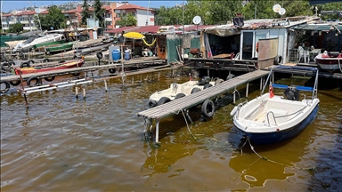 İzmit Körfezi'nde denizin kıyısı kahverengiye döndü