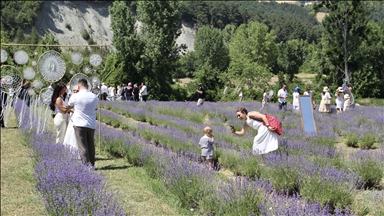 Kadın girişimcinin kurduğu lavanta tarlası Sinop turizmi ve ekonomisine değer katacak