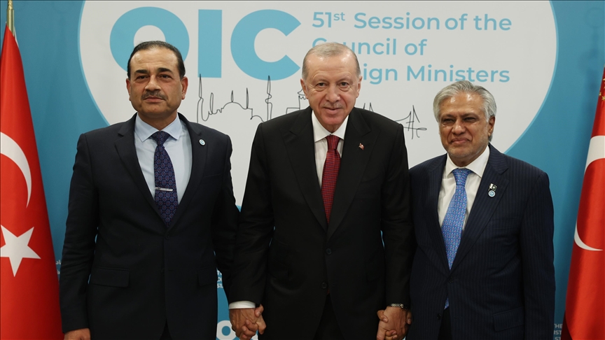 دیدار اردوغان با وزیر خارجه پاکستان در استانبول