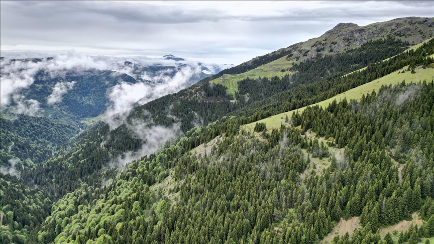 Maglovita visoravan i tirkizni bazeni privlače posjetioce u tursku pokrajinu Giresun