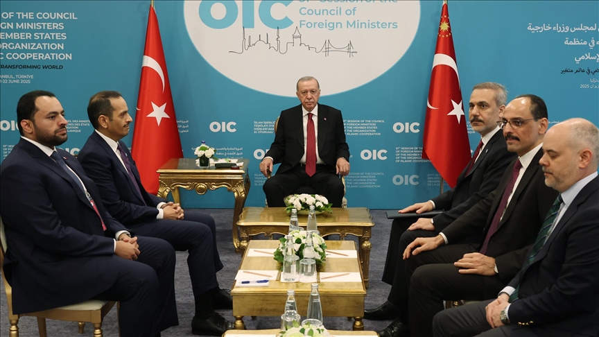 أردوغان يلتقي رئيس وزراء قطر في إسطنبول