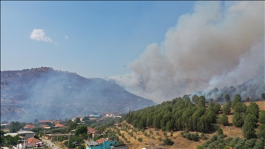 Aydın'da ziraat alanı ve makilikteki yangına müdahale ediliyor