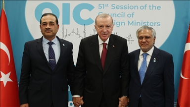 دیدار اردوغان با وزیر خارجه پاکستان در استانبول